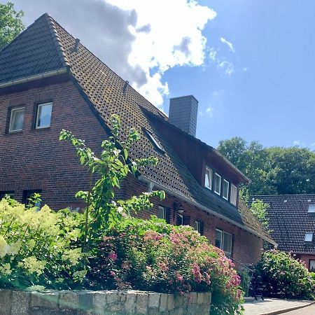 Apartment Hillmer Bispingen Esterno foto