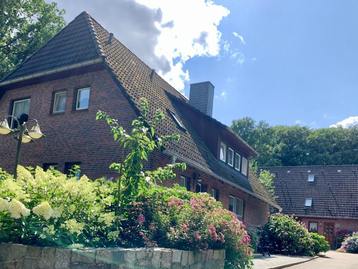 Apartment Hillmer Bispingen Esterno foto