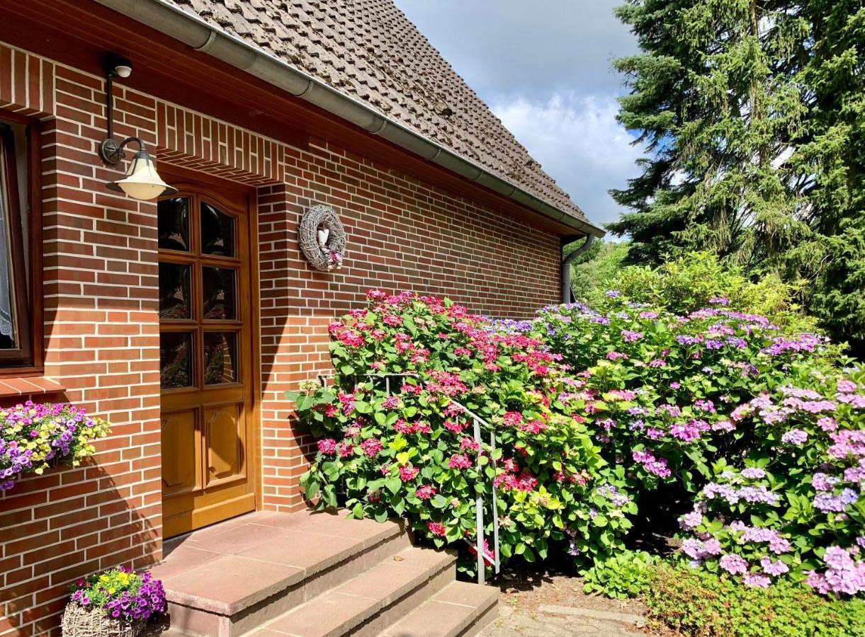 Apartment Hillmer Bispingen Esterno foto
